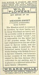 1937 Wills's Wild Flowers (2nd Series) #12 Meadow-Sweet Back