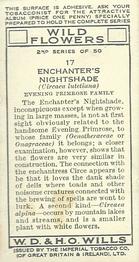 1937 Wills's Wild Flowers (2nd Series) #17 Enchanter's Nightshade Back