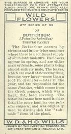 1937 Wills's Wild Flowers (2nd Series) #22 Butterbur Back