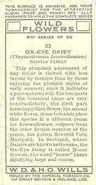 1937 Wills's Wild Flowers (2nd Series) #23 Ox-Eye Daisy Back