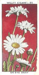 1937 Wills's Wild Flowers (2nd Series) #23 Ox-Eye Daisy Front