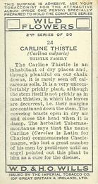 1937 Wills's Wild Flowers (2nd Series) #24 Carline Thistle Back