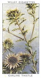 1937 Wills's Wild Flowers (2nd Series) #24 Carline Thistle Front