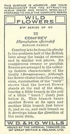1937 Wills's Wild Flowers (2nd Series) #32 Comfrey Back