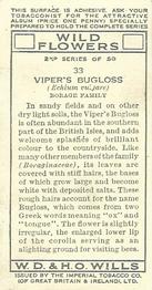 1937 Wills's Wild Flowers (2nd Series) #33 Viper's Bugloss Back