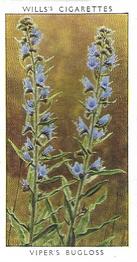 1937 Wills's Wild Flowers (2nd Series) #33 Viper's Bugloss Front