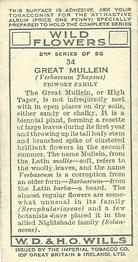 1937 Wills's Wild Flowers (2nd Series) #34 Great Mullein Back