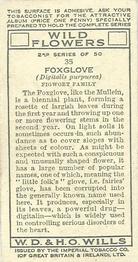 1937 Wills's Wild Flowers (2nd Series) #35 Foxglove Back