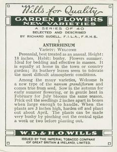 1938 Wills's Garden Flowers New Varieties #1 Antirrhinum Back