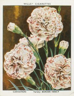 1938 Wills's Garden Flowers New Varieties #5 Carnation Front