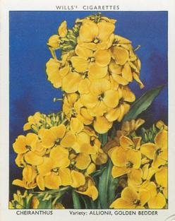 1938 Wills's Garden Flowers New Varieties #6 Cheiranthus Front