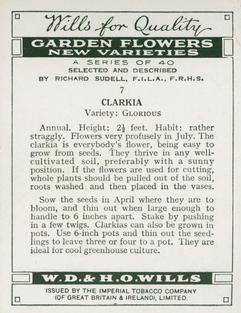 1938 Wills's Garden Flowers New Varieties #7 Clarkia Back