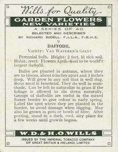 1938 Wills's Garden Flowers New Varieties #9 Daffodil Back