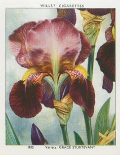 1938 Wills's Garden Flowers New Varieties #20 Iris Front
