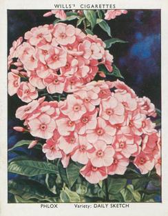 1938 Wills's Garden Flowers New Varieties #29 Phlox Front
