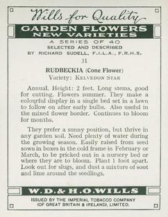 1938 Wills's Garden Flowers New Varieties #31 Rudbeckia (Cone Flower) Back