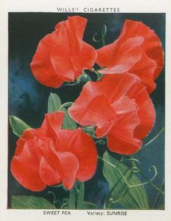 1938 Wills's Garden Flowers New Varieties #34 Sweet Pea Front