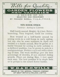1938 Wills's Garden Flowers New Varieties #36 Ten-Week Stock Back