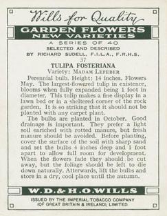 1938 Wills's Garden Flowers New Varieties #37 Tulipa Fosteriana Back