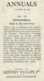 1939 Godfrey Phillips Annuals #18 Gypsophila Back