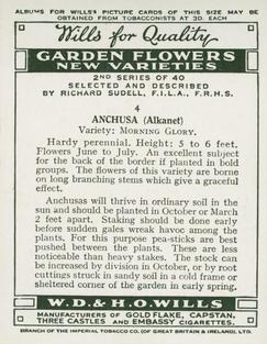 1939 Wills's Garden Flowers New Varieties 2nd Series #4 Anchusa Back