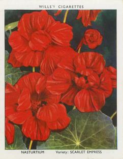 1939 Wills's Garden Flowers New Varieties 2nd Series #24 Nasturtium Front