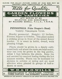 1939 Wills's Garden Flowers New Varieties 2nd Series #29 Physostegia Back