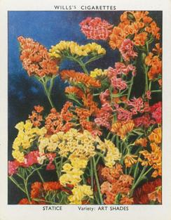 1939 Wills's Garden Flowers New Varieties 2nd Series #34 Statice Front
