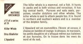 1962 Nabisco Nature Untamed #17 Killer Whale Back