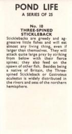 1964 Pond Life #10 Three-Spined Stickleback Back