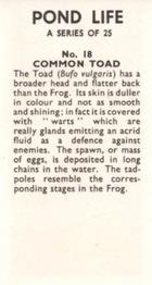 1964 Pond Life #18 Common Toad Back