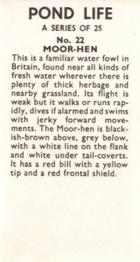 1964 Pond Life #22 Moor-Hen Back