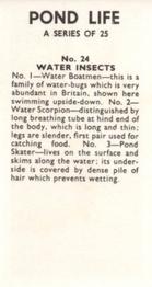 1964 Pond Life #24 Water Insects Back