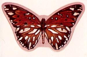 1974 Tonibell Beautiful Butterflies #NNO Gulf Fritillary Front