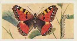 1957 Mills Butterflies and Moths #7 Small Tortoiseshell Front