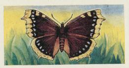 1957 Mills Butterflies and Moths #9 Camberwell Beauty Front
