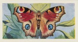 1957 Mills Butterflies and Moths #20 Peacock Butterfly Front