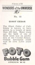 1960 Foto Bubble Gum Wonders of the Universe #13 Giant Cedar Back
