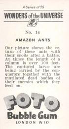 1960 Foto Bubble Gum Wonders of the Universe #14 Amazon Ants Back
