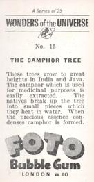 1960 Foto Bubble Gum Wonders of the Universe #15 The Camphor Tree Back