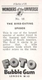 1960 Foto Bubble Gum Wonders of the Universe #16 The Bird-Eating Spider Back