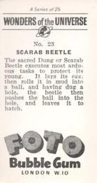 1960 Foto Bubble Gum Wonders of the Universe #23 Scarab Beetle Back