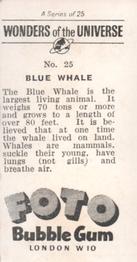 1960 Foto Bubble Gum Wonders of the Universe #25 Blue Whale Back