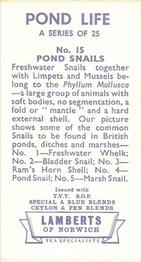 1964 Lamberts of Norwich Pond Life #15 Pond Snails Back