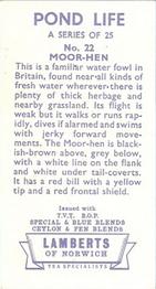 1964 Lamberts of Norwich Pond Life #22 Moor-Hen Back