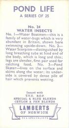1964 Lamberts of Norwich Pond Life #24 Water Insects Back