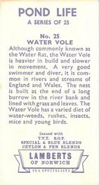1964 Lamberts of Norwich Pond Life #25 Water Vole Back
