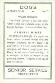1939 Senior Service Dogs #3 Welsh Springer Back