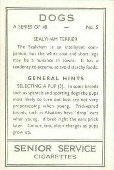1939 Senior Service Dogs #5 Sealyham Terrier Back