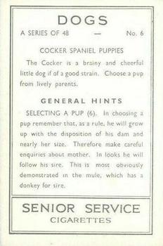 1939 Senior Service Dogs #6 Cocker Spaniel Puppies Back